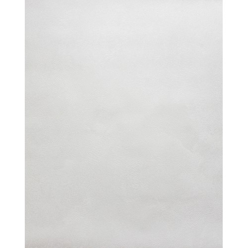 Обои флизелиновые Accento Fancy 287762 1.06x10м