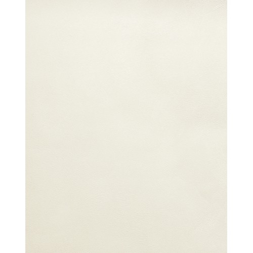 Обои флизелиновые Accento Fancy 287766 1.06x10м