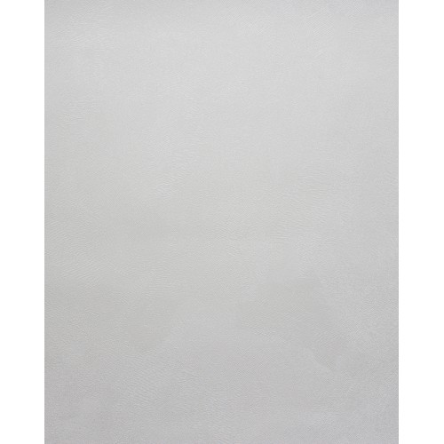 Обои флизелиновые Accento Fancy 287767 1.06x10м