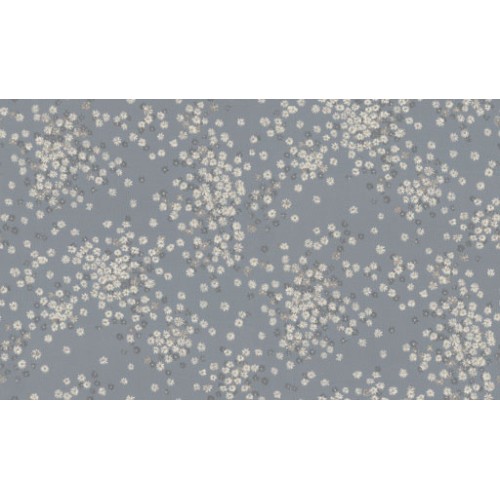 Обои флизелиновые 1.06x10м Euro Decor 7282-03 Герда