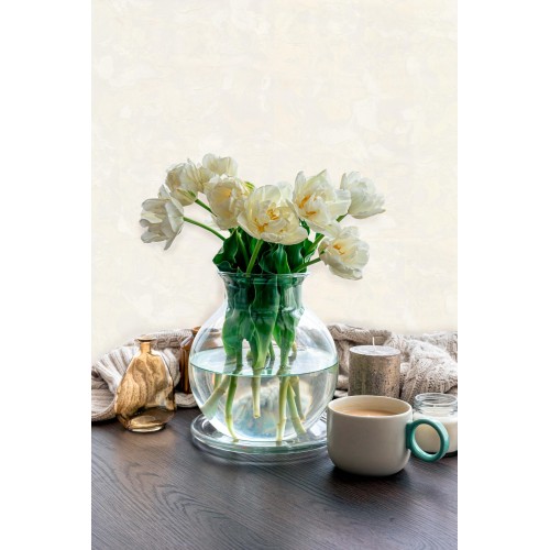 Обои флизелиновые WallSPro Симона 4241-1 бежевые 1.06x10м