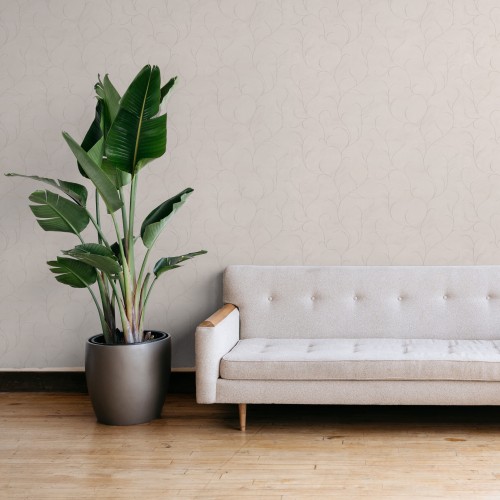 Обои Malex design 4386-3 Теона флиз. 1,06Х10м