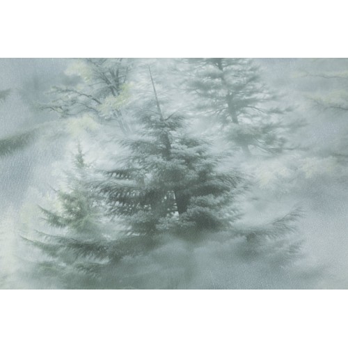 Обои HomeColor HC72551-71 Ultrachrome_3 флиз. 1,06Х10м