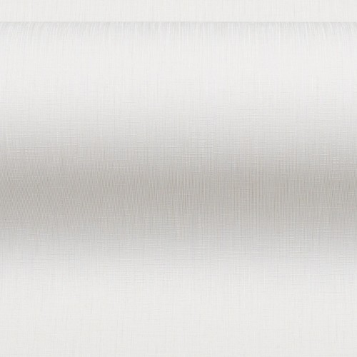 Обои флизелиновые HomeColor HC72242-11 Exotica белые 1,06х10м