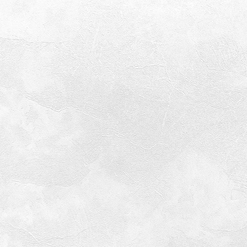 Обои флизелиновые Erismann Profi Deco Veter 60560-02 белые 1.06x10м
