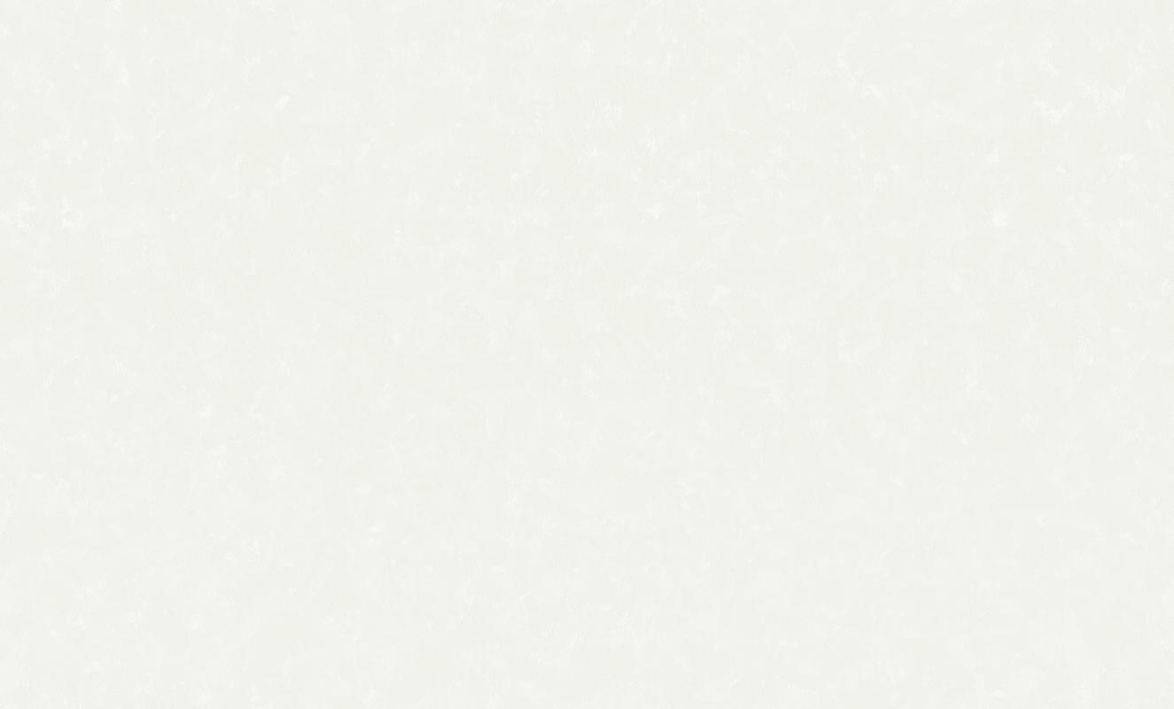 Обои флизелиновые HomeColor 715-21 1,06 x 10 м