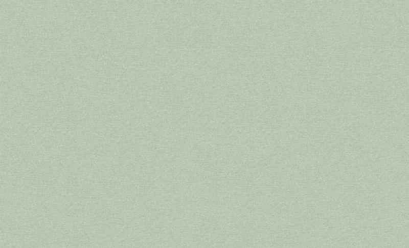 Обои флизелиновые Erismann Spectral Color 60620-08 зеленые 1.06x10м