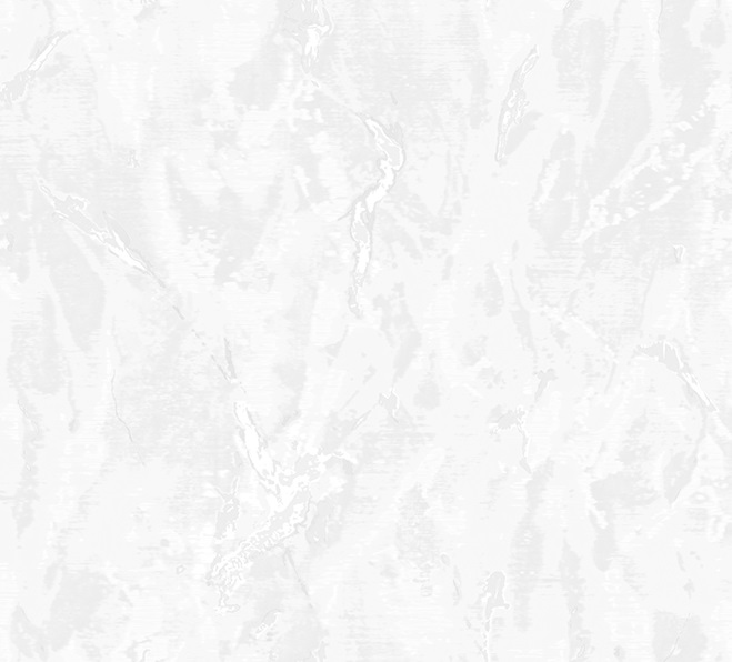 Обои флизелиновые VOG Collection И VC8675-12 1,06 x 10м